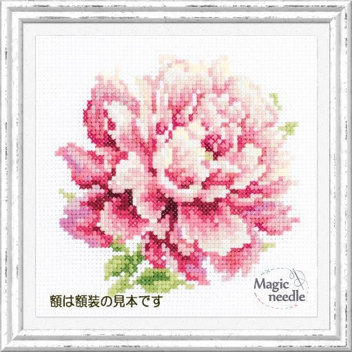 マキシマム JSK ピンクドット Magicneedleマジックニードル社】apm150_007・ピンクの芍薬・Peony